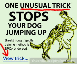 Unusual Trick - 300 x 250